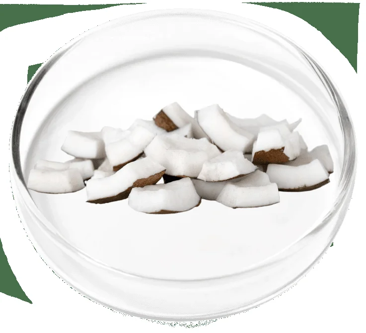 Poria cocos and wild yam synergy