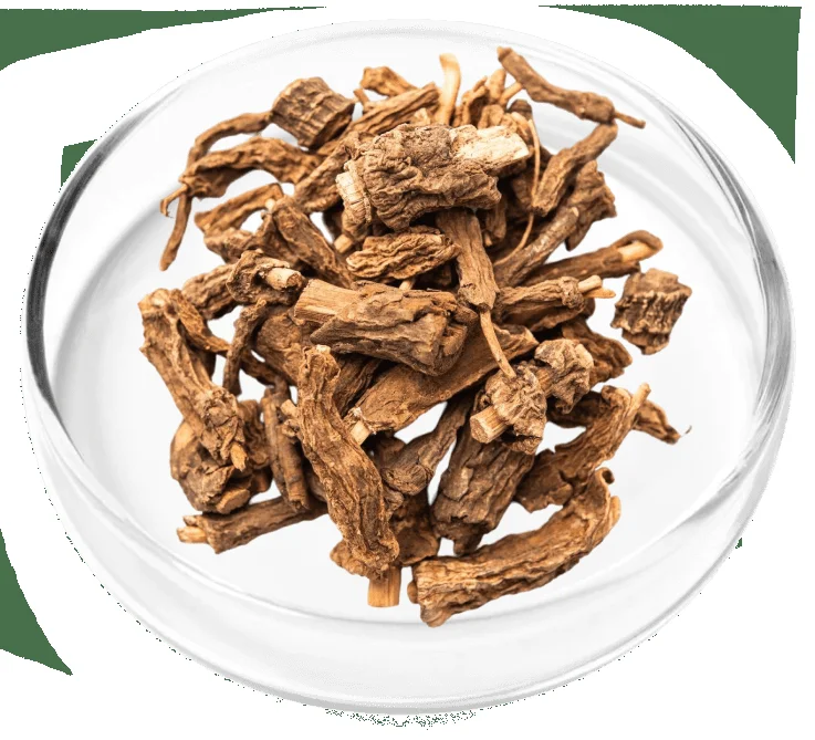 Kidney support comparison