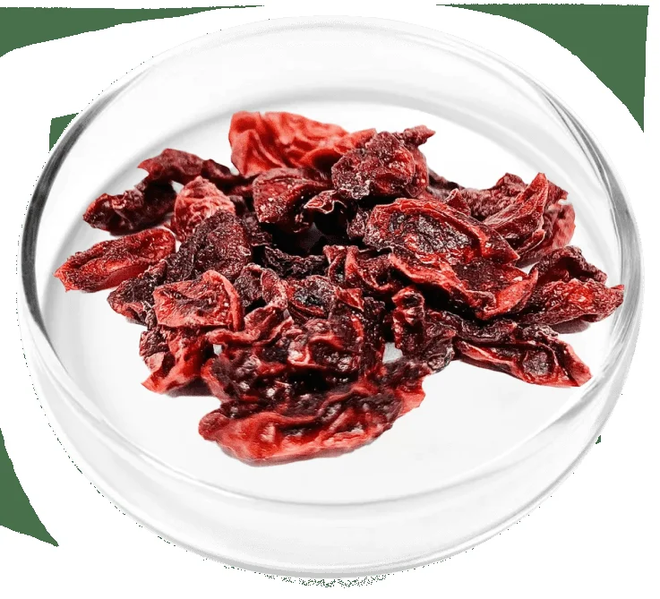 Shan Zhu Yu for kidney support and antioxidant protection